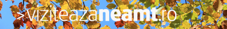 Viziteaza Neamt Banner