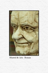 Muzeul de Arta din Roman