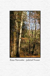 Zona Tarcau - Judetul Neamt