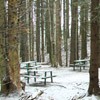 Traseu Trekking Ceahlau - Lutu Rosu iarna