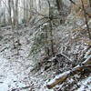 Traseu Trekking Ceahlau - Lutu Rosu iarna