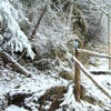 Traseu Trekking Ceahlau - Lutu Rosu iarna