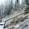Traseu Trekking Ceahlau - Lutu Rosu iarna