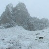 Traseu Trekking Ceahlau - Lutu Rosu iarna