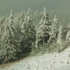 Ceahlau - Stanile iarna 2011