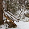 Cheile Bicajelului iarna