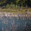 Drumetii in parcurile si rezervatiile din Neamt