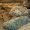 Expozitia Costisa 2011