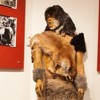 Expozitie de mamifere preistorice in Piatra Neamt