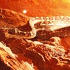 Expozitie reptile