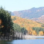 Lacul Cuejdel
