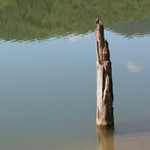 Lacul Cuejdel