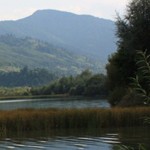 Romania Turism - Lacul Pangarati