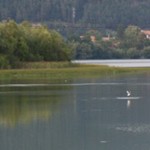 Romania Turism - Lacul Pangarati