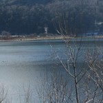Romania Turism - Lacul Pangarati