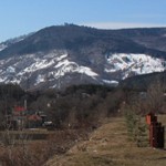 Romania Turism - Lacul Pangarati