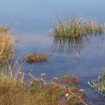 Romania Turism - Lacul Vaduri