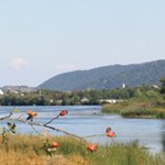 Romania Turism - Lacul Vaduri