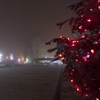 Lumini de decembrie 2013 in Piatra Neamt