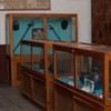 Muzeu comuna Vanatori