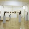 Muzeul de arta Piatra Neamt 2013