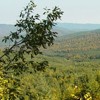 Parcul National Vanatori - Judetul Neamt