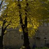 Peisaje de Toamna