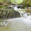 Pelerinaje la manastirile din Moldova: de la Manastirea Sihastria la Manastirea Sihla