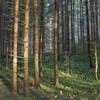 Rezervatii naturale