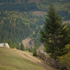 Toamna in Valea Bicajelului 2012