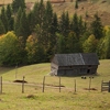 Toamna in Valea Bicajelului 2012