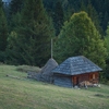 Toamna in Valea Bicajelului 2012