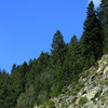 Traseu Montan Tarcau-Brates Vf Batca Rachitei