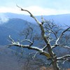 Traseu Trekking Cernegura