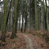 Traseu Trekking Cernegura