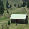 Traseu Montan Varful Asau - zona Damuc